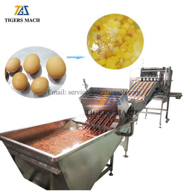 Full automatic egg separation machine