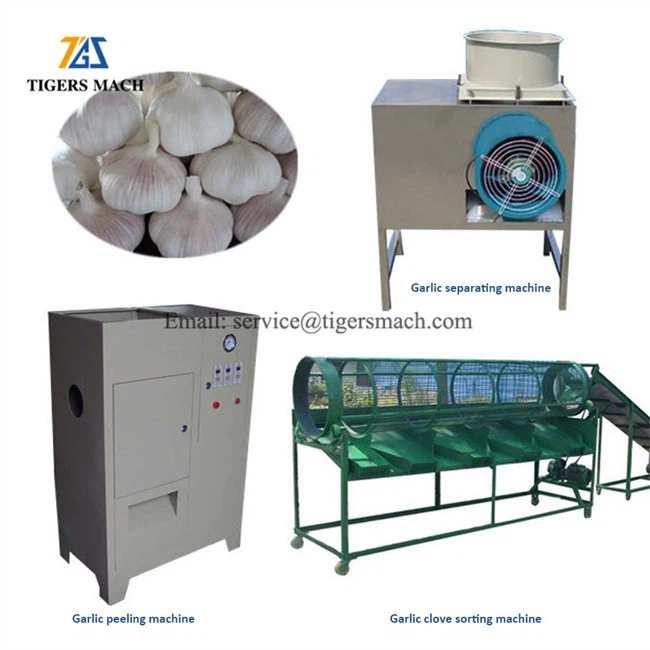 garlic Peeling hulling machine price