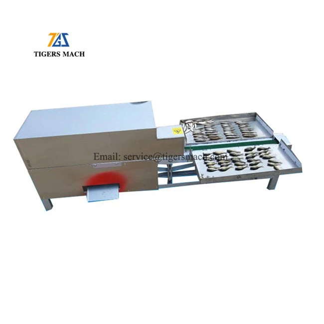 Solution for fresh fishes processing equipment, fish opening and splitting machine from one stop good supplier (3)